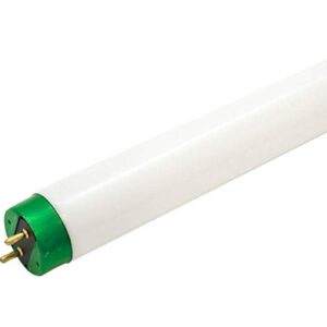 A F20T12 Philips cool white (alto) Fluorescent Lamp on a white background.