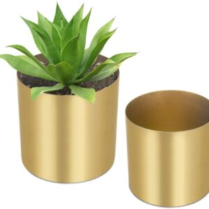 A MyGift Decorative Cylindrical Brass-Tone Brushed Metal Vase with a plant in it.