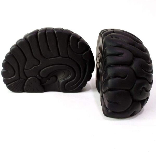 Two black JHP Brain Bookends, 6.5Inch Tall Brain Decorative Resin Book Shelf Organizers Book Holders Shelf Dividers Book Ends for Home or Office Shelves Brain Sculpture Bookend Sets on a white surface.