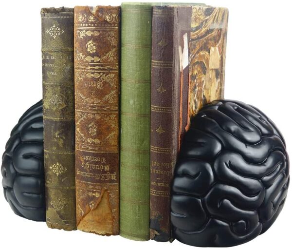 A set of JHP Brain Bookends, 6.5Inch Tall Brain Decorative Resin Book Shelf Organizers Book Holders Shelf Dividers Book Ends for Home or Office Shelves Brain Sculpture Bookend Set with a brain on them.